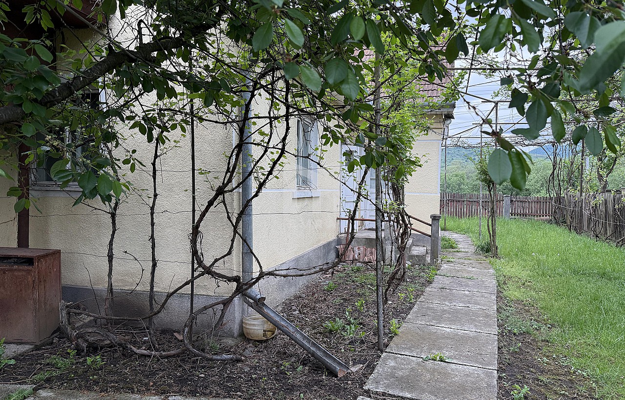 De vânzare casa  Mures, Solovăstru, Principală
